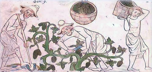 Velislavova obrázková bible (14. století)